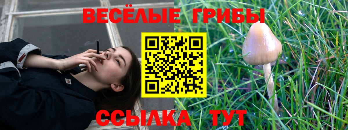 Кириши  Галлюциногенные грибы мухоморы  Вход с VPN 