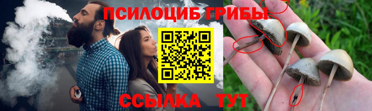 Кокаин  Кириши  LSD-25  Вход с VPN  МЕФ   МАРИХУАНА  Вейп ТГК  Гашиш 